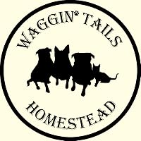 Profile Image for Waggin' Tails Homestead.