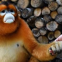 Profile Image for Brooke.