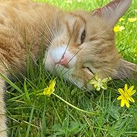 Profile Image for em.