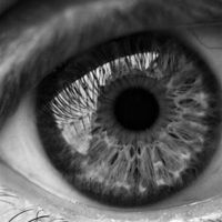 Profile Image for Melissa.