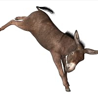 Profile Image for Donkey Kick.