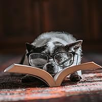 Profile Image for Erica.