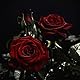 Tasnim