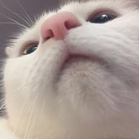 Profile Image for sacha.