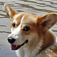 Profile Image for Amy L..
