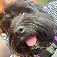 Profile Image for Sof Sears.