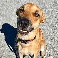 Profile Image for Mona.