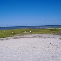 Profile Image for Nicole.