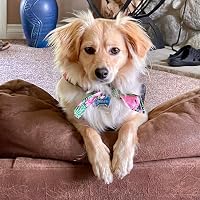 Profile Image for Candy.