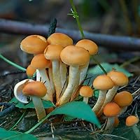 Profile Image for Girls Are The Future.