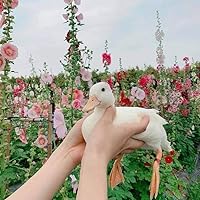 Dead Of Winter De Darcy Coates - Livre D'occasion En Très Bon état (Édition 2023)