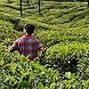Arun