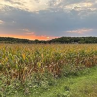 Profile Image for Maren Soderbeck.