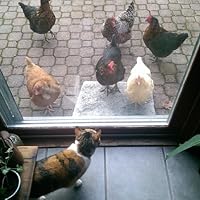 Profile Image for Melissa Stearns.