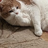 Profile Image for Eliana.