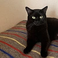 Profile Image for BB Bux.