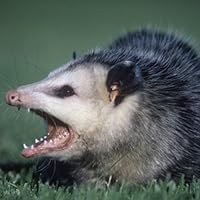 Profile Image for Casey.