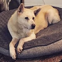 Profile Image for Jon Britton.