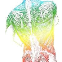 Basic Clinical Massage Therapy 第二版 81Kd8Qf7f+L._UF350,350_QL50_.jpg