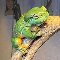 Profile Image for Sasha Volesky.