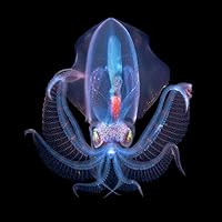 Profile Image for Claudio.