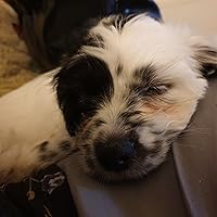 Profile Image for Amber.