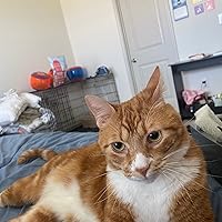 Profile Image for Hayley.