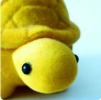 Profile Image for Donna.