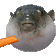 Profile Image for Ogden Nesmer.