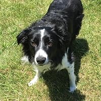 Profile Image for Julian.