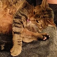 Profile Image for roro.