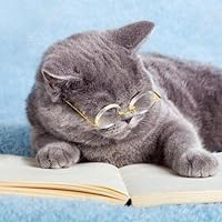 Profile Image for Rachel.