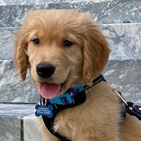 Profile Image for Eugenia Giampetruzzi.