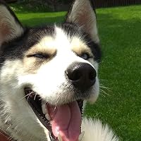 Profile Image for Artie.