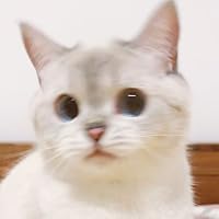 Profile Image for Emilie.