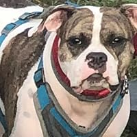 Profile Image for kuzieboo.