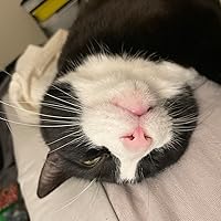 Profile Image for Megan.