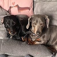 Profile Image for Chloe.