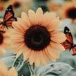 Profile Image for Emily Chrestman.