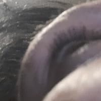 Profile Image for Misse.