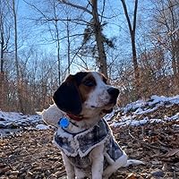 Profile Image for Mary Robinson.