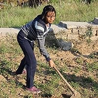 Corruption Plots: Stories, Ethics, and Publics of the Late Capitalist