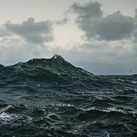 Profile Image for Filipa.