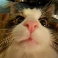 Profile Image for Sorbe Stenund.