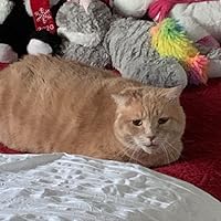 Profile Image for Christine Dyar.