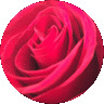 Profile Image for Carla Z.