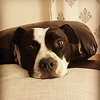 Profile Image for Caity Kahabka.