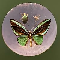 Profile Image for finitefantasy.