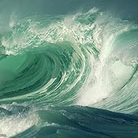 Profile Image for 光彩.