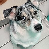 Profile Image for Kat.